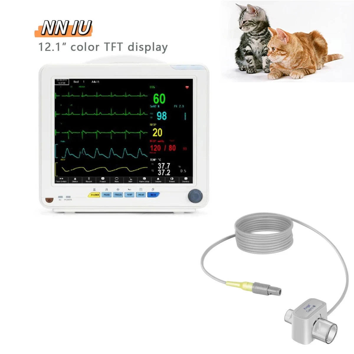 12 inch multiparameter Patient Monitor TFT 12" screen human/ animal veterinary 6 parameter optional for capnograph ETCO2 IBP