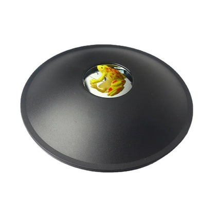 Image Projection 3D Magic Mirascope Mirascope Optical Parabolic Reflector Black Hologram Maker Illusion Creator